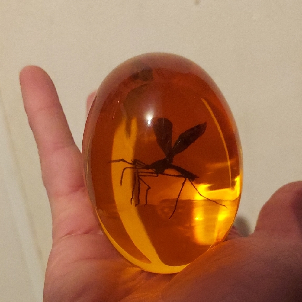 Wild Movie Props. Iconic Mosquito Trapped In Amber. Jurassic Park Series